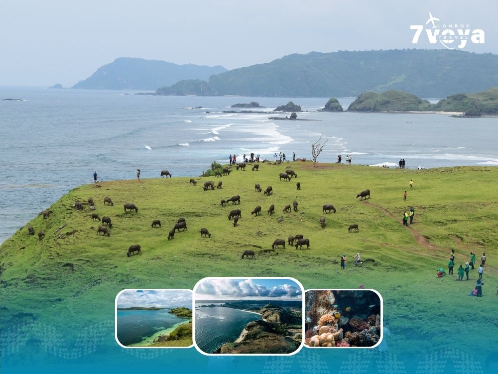Open Trip